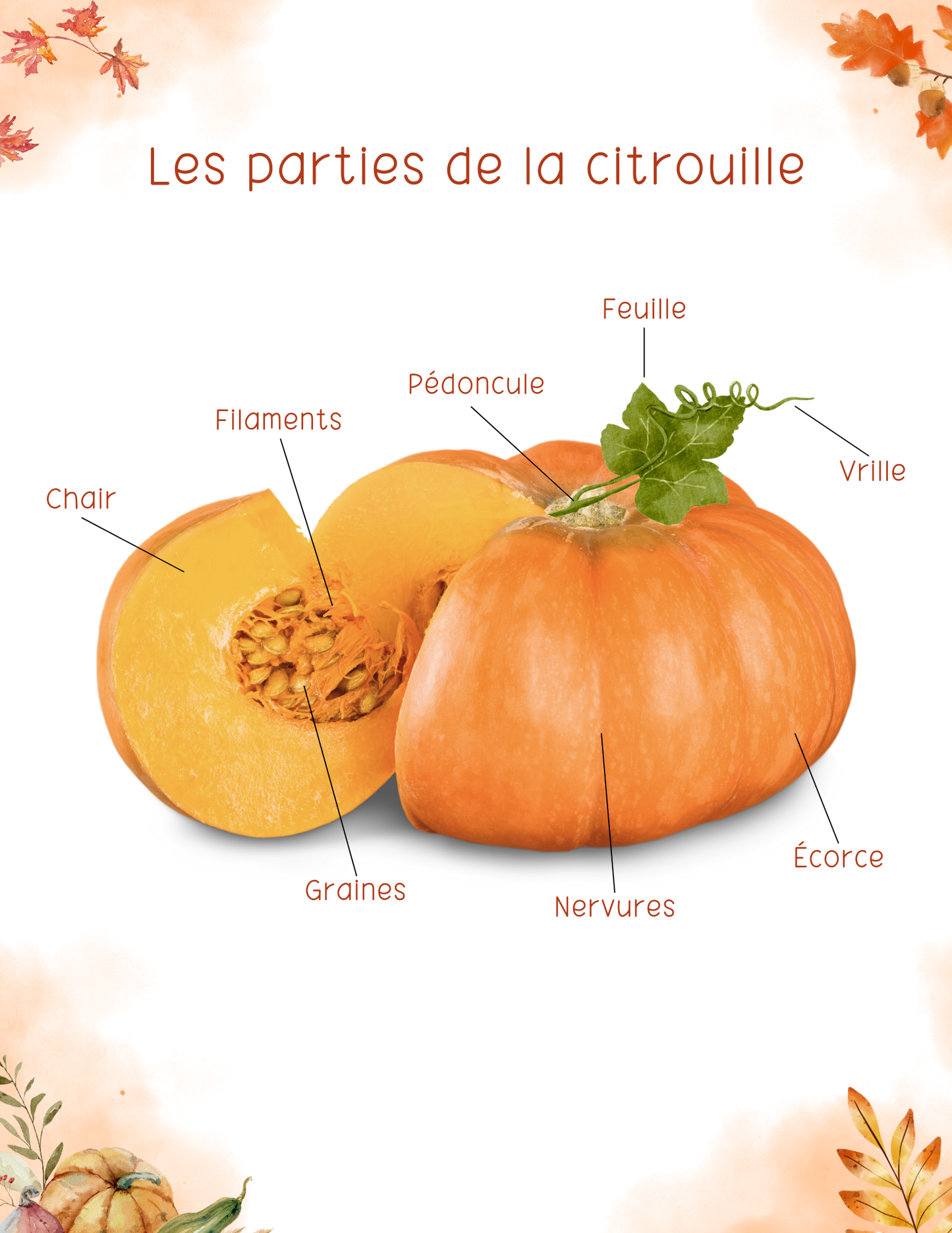 L'automne | Thématique