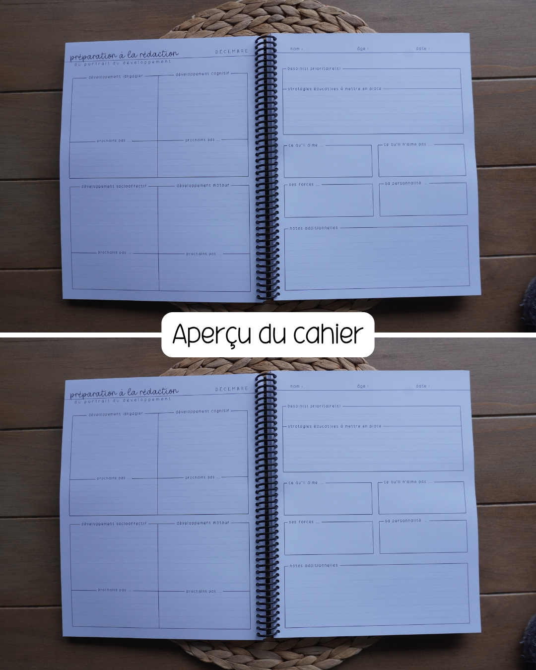 Cahier de compilation des observations