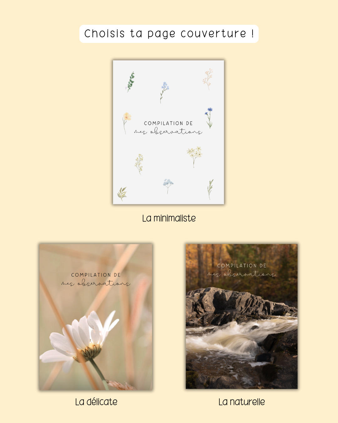 Cahier de compilation des observations