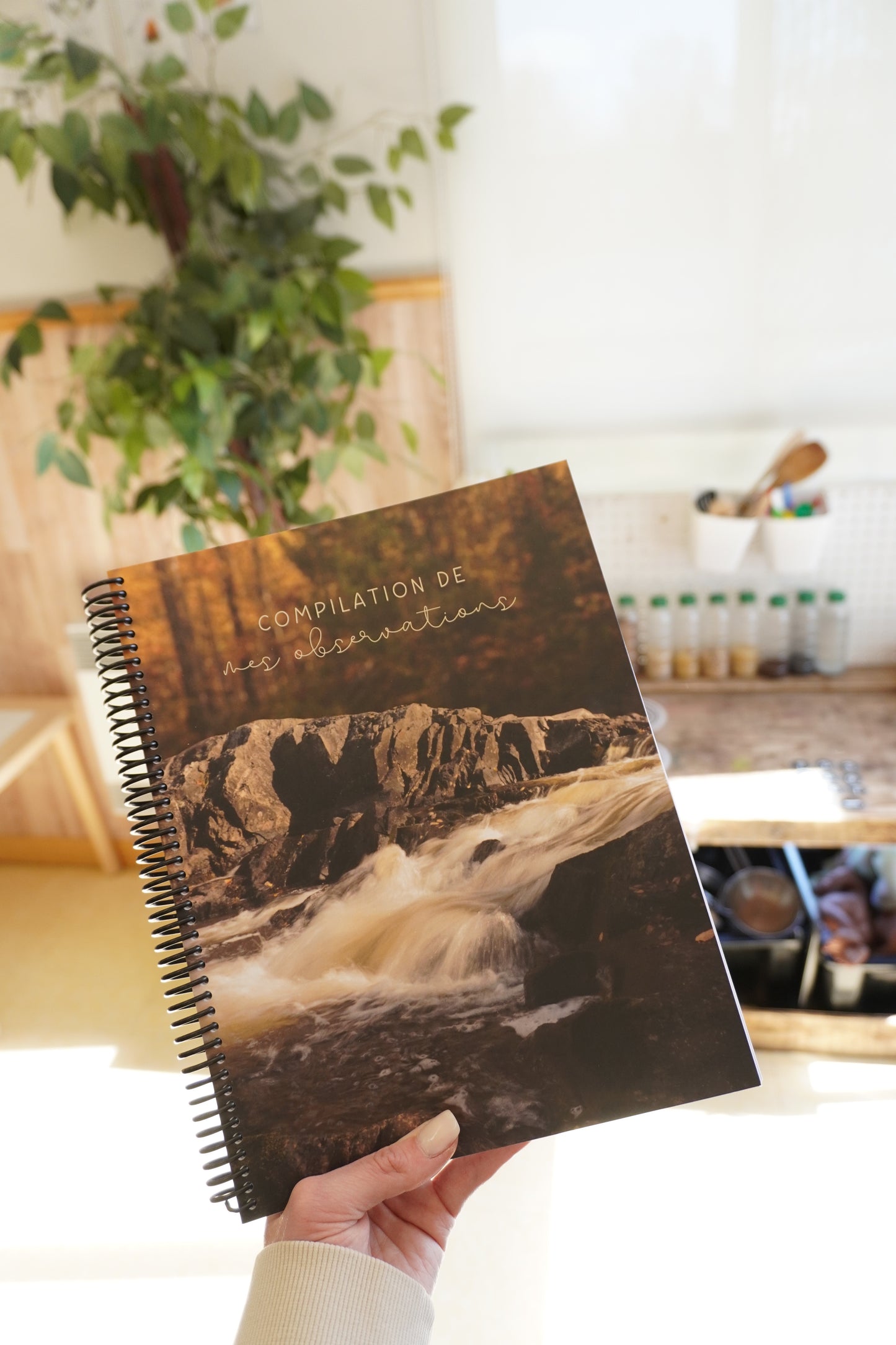 Cahier de compilation des observations