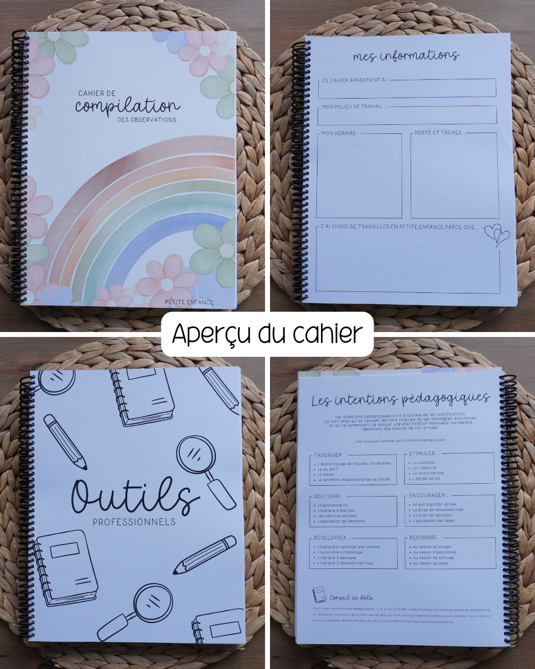 Cahier de compilation des observations