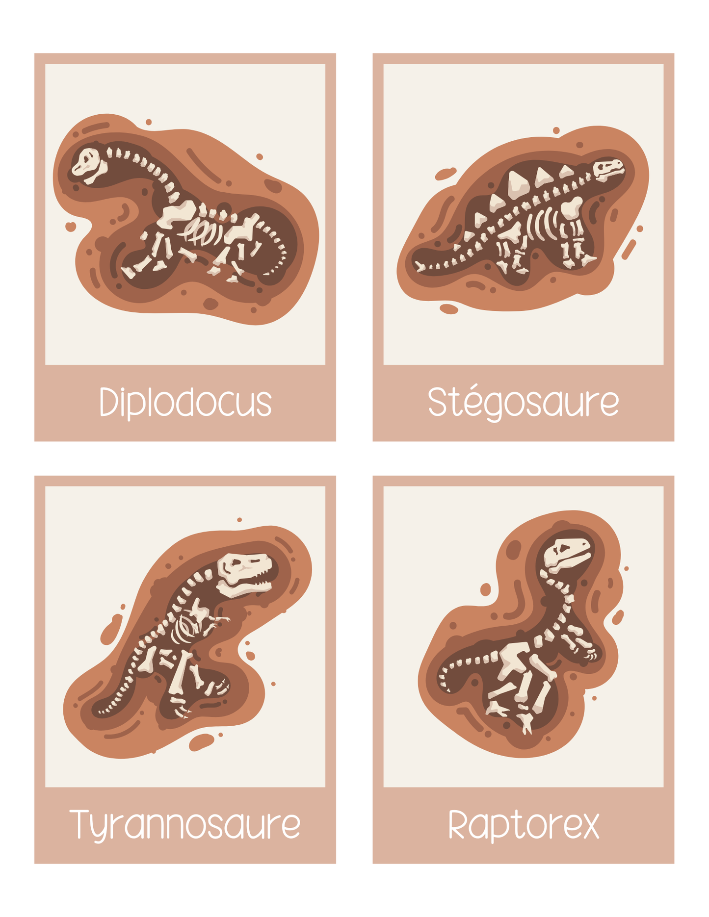 Les dinosaures | Thématique