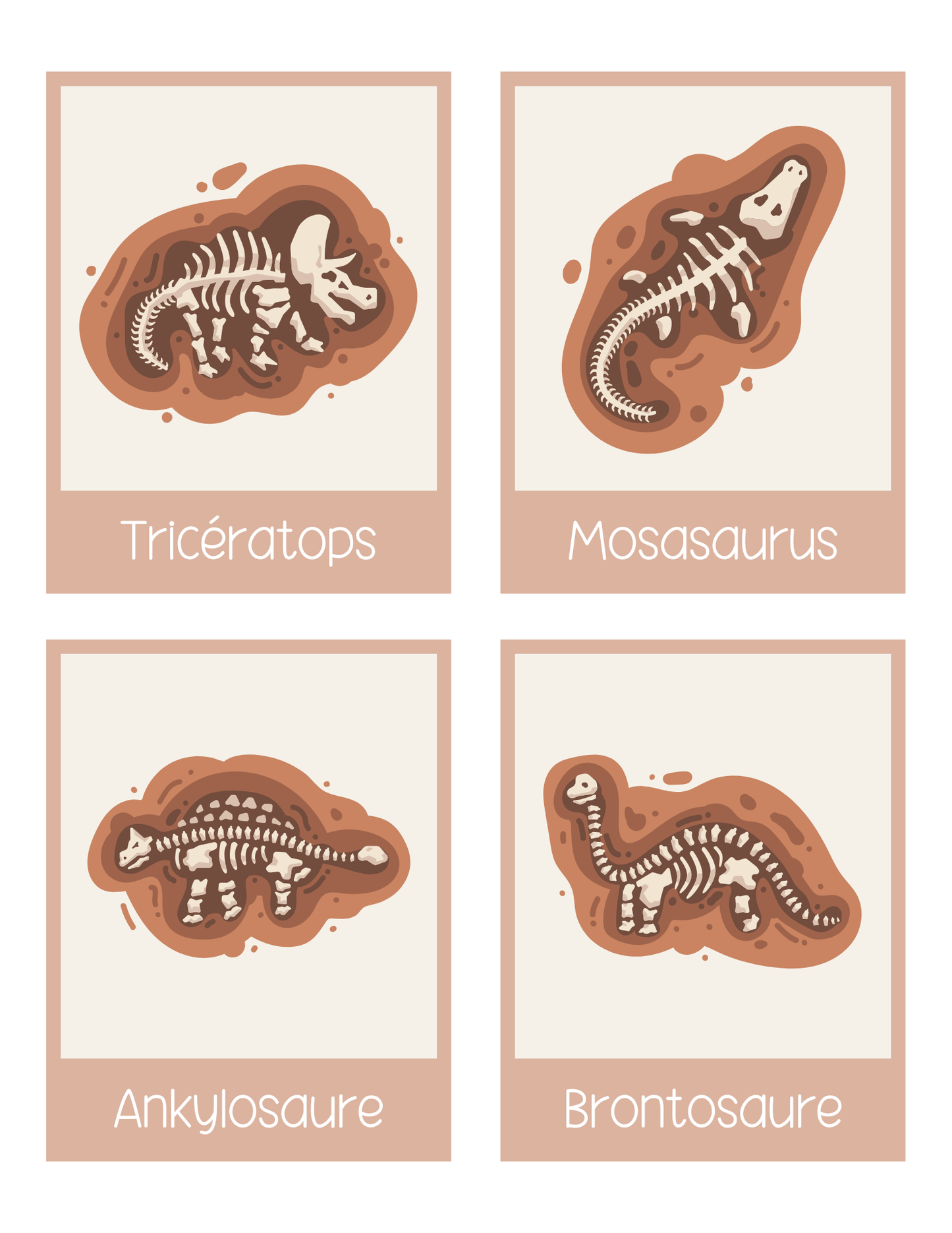 Les dinosaures | Thématique