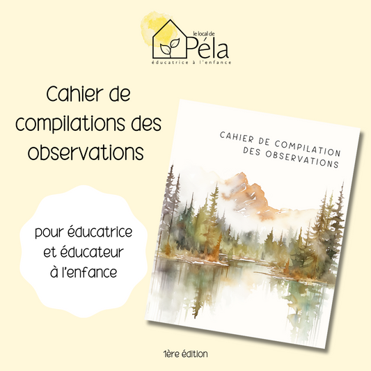 Cahier de compilation des observations