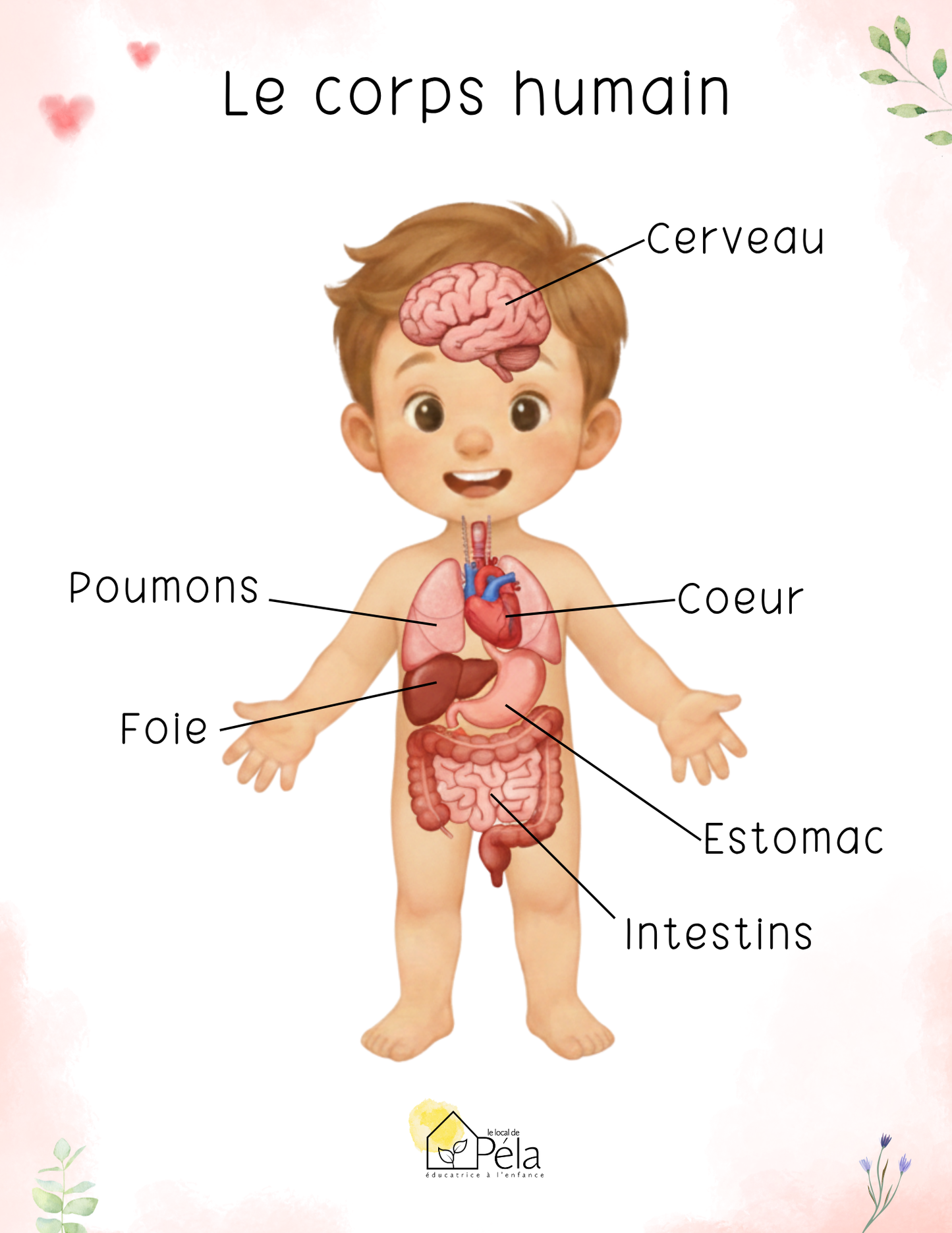 Médecine | Thématique