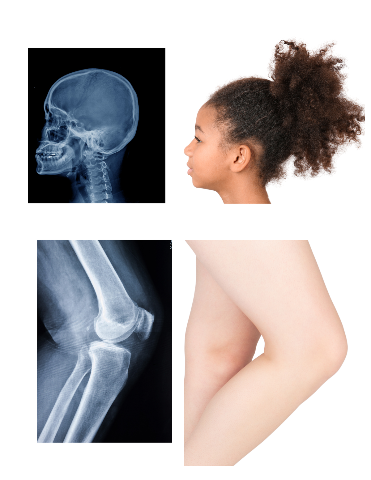 Médecine | Thématique