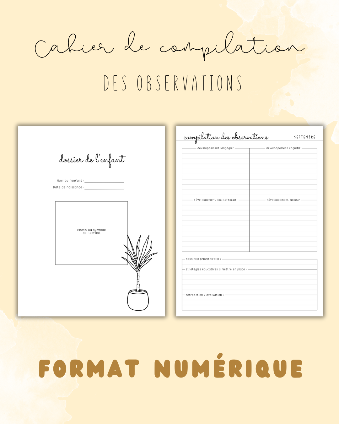 NUMÉRIQUE - Cahier de compilation des observations