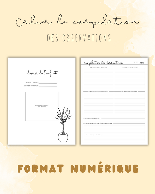NUMÉRIQUE - Cahier de compilation des observations