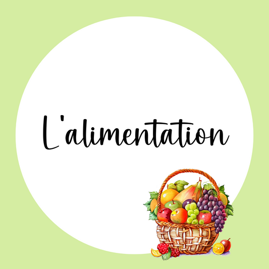 L'alimentation | Thématique