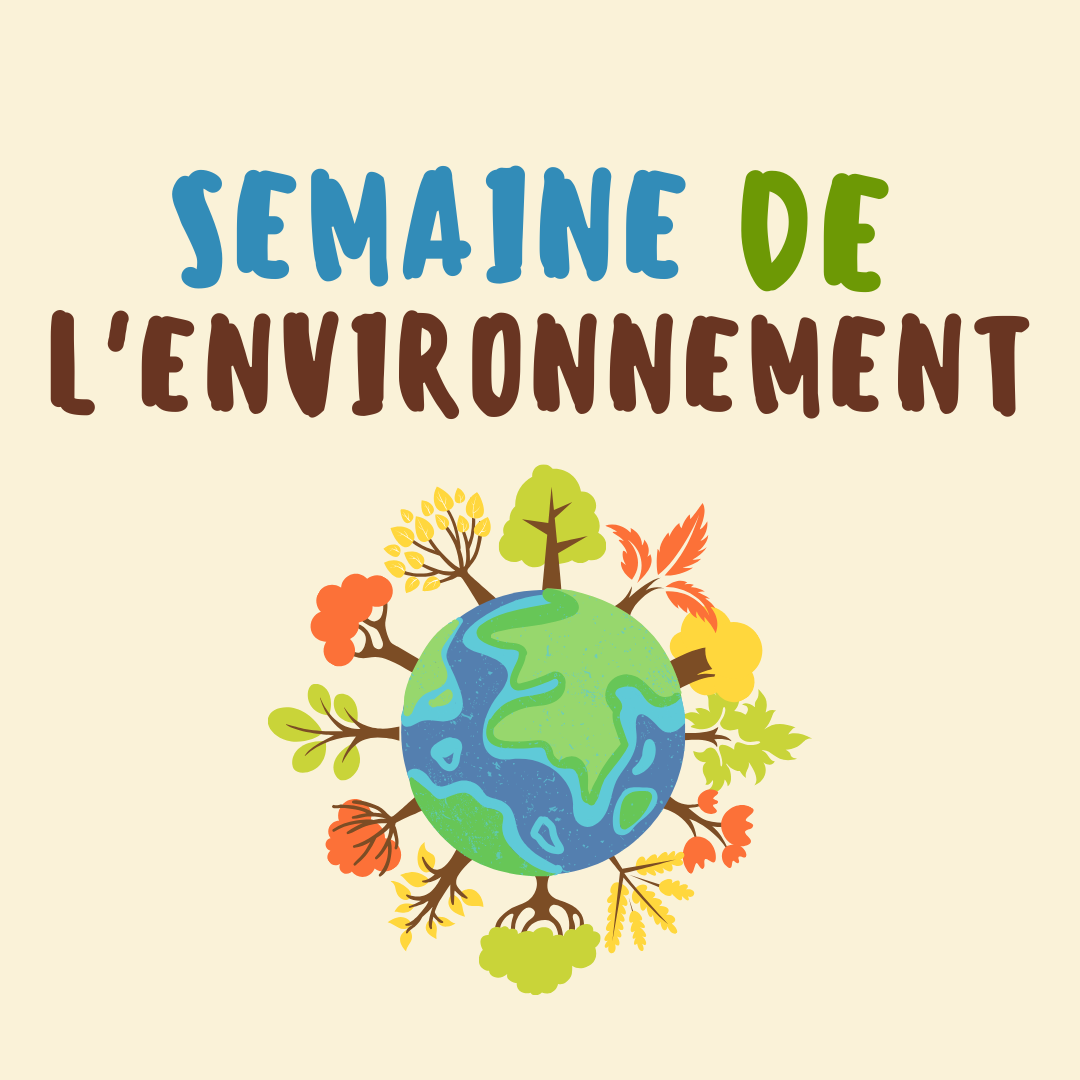 L'environnement | Thématique